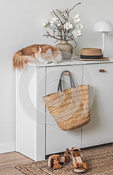 Cozy scandinavian style interior - a ginger cat sleeping on a chest of drawers, a vase of flowers, a straw bag, a hat and suede