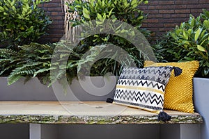 Cozy seating, Wooden sofa with colorful pillows in cozy garden seat, green plants and modern decoration