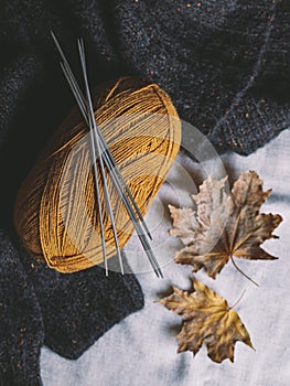 Cozy skein of yarn and needles for knitting socks with dry leaves. Autumn background for handmade and slow homelife
