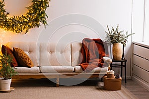 Cozy sofa with a blanket near the window, branches of a fir tree in a vase. Christmas Home Decoration