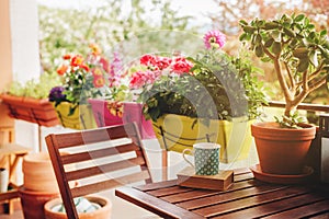 Cozy summer balcony with many potted plants