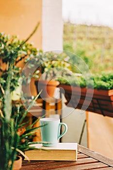 Cozy summer balcony with many potted plants