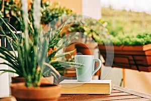 Cozy summer balcony with many potted plants