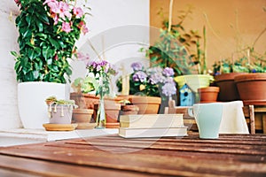 Cozy summer balcony with many potted plants