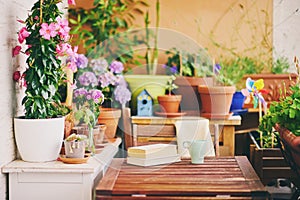 Cozy summer balcony with many potted plants