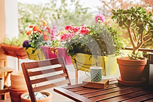 Cozy summer balcony with many potted plants photo