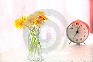 Cozy summer still life with flowers of and alarm clock on the table. At home. Rustic style, Lazy weekend. Haze vintage filter