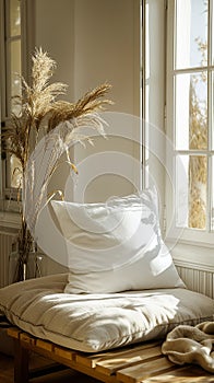 Cozy sunlit corner with cushion and pampas grass