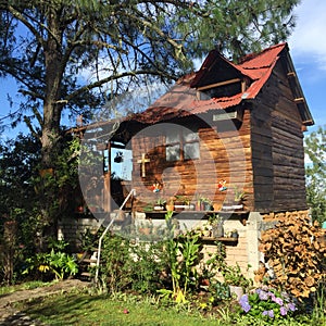 The Garden-Cabin from Capulalpam de Mendez photo