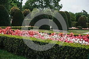 Cozy well-groomed park or garden with plants and flowers in Prague in the Czech Republic