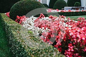 Cozy well-groomed park or garden with plants and flowers in Prague in the Czech Republic