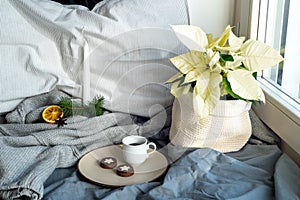 Cozy winter breakfast still life scene near the window. Cup of coffee with cookies. Pillow, wool sweater,candle,fir tree branch,