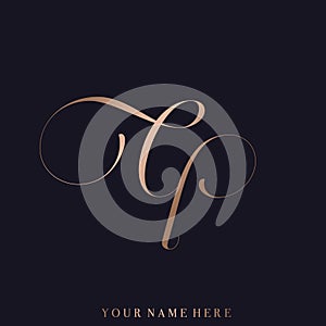 CP monogram logo. Calligraphic signature icon. Shiny metallic ornamental lines.