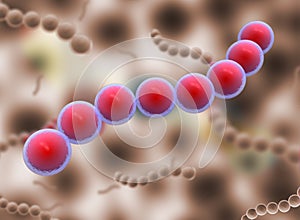 Cocci Shape of bacteria. streptococci type Bacteria.