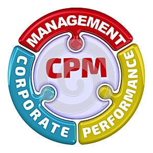 CPM. Corporate performance management. The check mark in the form of a puzzle