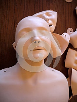 CPR: rubber face masks and torso