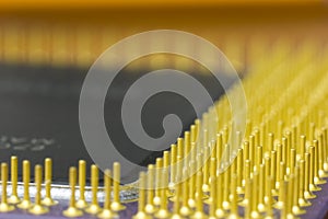 CPU contacts, macro