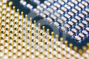 Cpu gold pins and chip, microchip processor legs computer component technology. Macro photography Central processing unit - comput