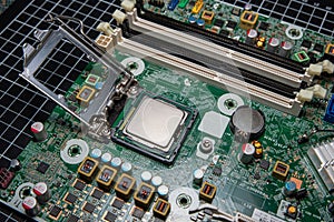 Cpu installation on a computer , green motherboard