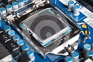 CPU Intel i5 on computer motherboard in socket