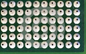 Cpu pins and chip, microchip processor legs computer component technology. Macro photography