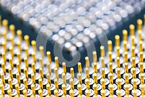 Cpu pins and chip, microchip processor legs computer component technology. Macro photography
