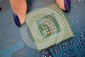 CPU processor in woman hand against computer motherboard
