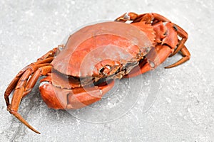 Crab