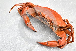 Crab