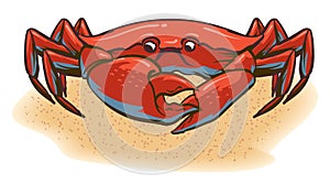 Crab