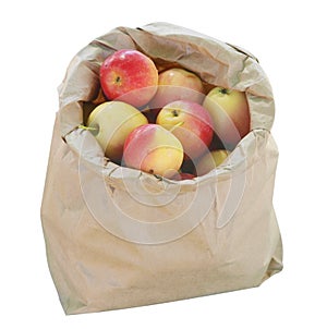 Crab Apples in a Brown Paper Bag