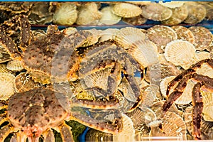 Crab in aquarium tanks for sale at seaport market