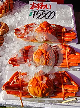 Crab at Asaichi Market in Hakodate, Japan
