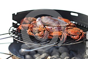 Crab on charcoal grill