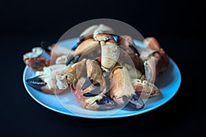 Crab Claws from Atlantic Coast