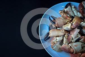 Crab Claws from Atlantic Coast