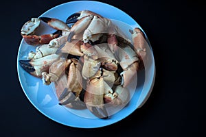 Crab Claws from Atlantic Coast