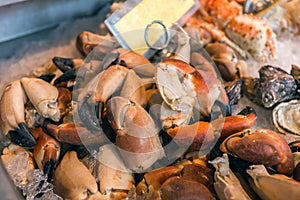 Crab claws on fish market in Bergen, Norway