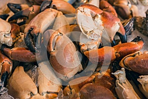 Crab claws on fish market in Bergen, Norway