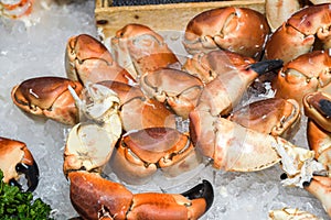 Crab claws on ice for sale at the fish market