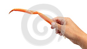 Crab claws in a man& x27;s hand isolated on a white background