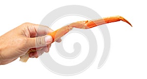 Crab claws in a man& x27;s hand isolated on a white background