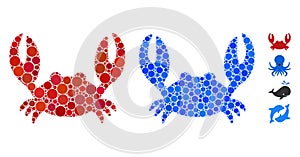 Crab Composition Icon of Circles photo