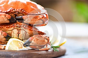 Crab cooked steam or boiled with herbs and spices lemon rosemary on wooden board in a restaurant background - Fresh seafood stone