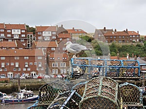 Crab crates in Whitby
