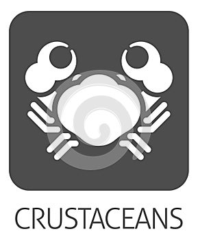 Crab Crustacean Food Allergen Allergy Icon Concept photo
