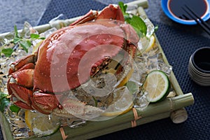 Crab on cucumber and lemon