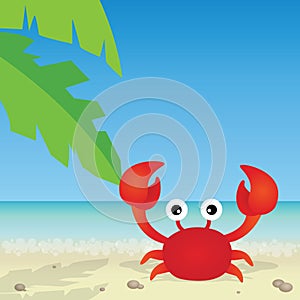 Crab