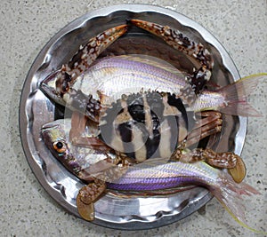 Crab and a fish placed on a plate