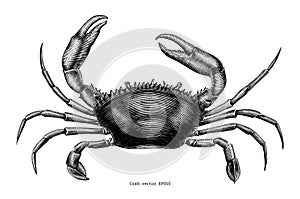 Crab hand drawing vintage clip art